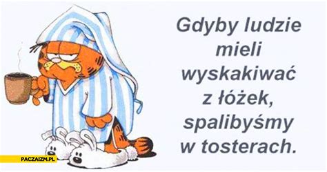 Gdyby Ludzie Mieli Wyskakiwa Z Ek Spaliby My W Tosterach Paczaizm Pl