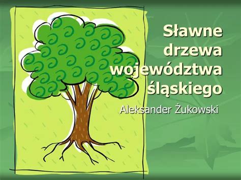 PPT Sławne drzewa województwa śląskiego PowerPoint Presentation free