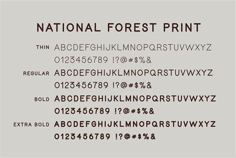 National Forest Font Duo - YouWorkForThem