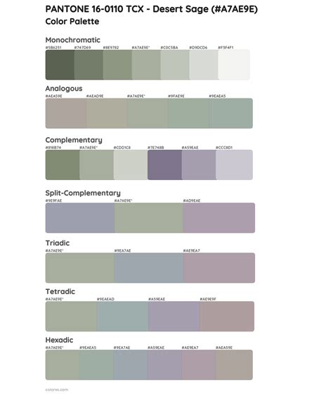 PANTONE 16 0110 TCX Desert Sage Color Palettes Colorxs