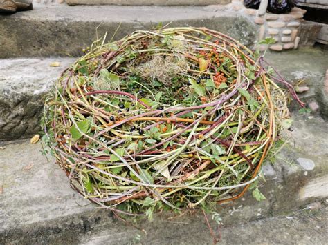 Seminar frühlingshaftes Osternest Werkraum für Blumengestaltung