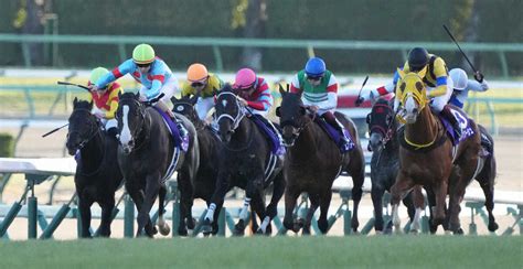 ＜有馬記念＞レースを制したイクイノックス（左から2頭目）と2着ボルドグフーシュ（右端）は同じ3月23日生まれだった（撮影・郡司 修