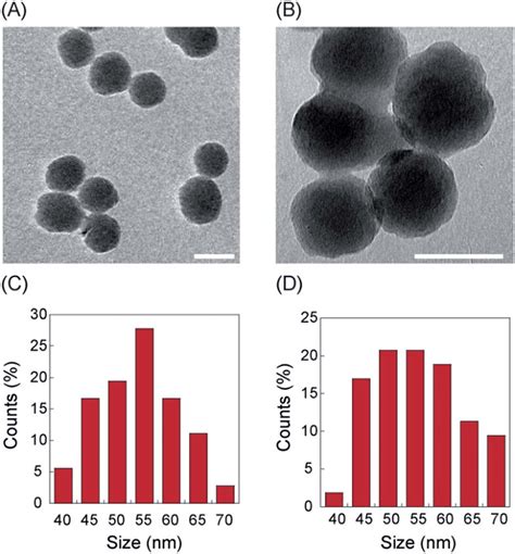 A Tem Image Of Silica Nanoparticles Scale Bar 50 Nm Average