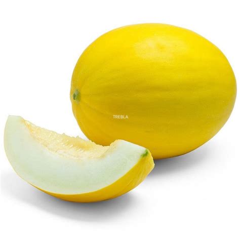 Honey Dew Melon Seeds 15 Seedspack Shopee Philippines