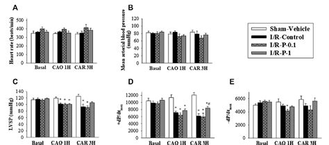 Figure From Paeonol Protects Against Myocardial Ischemia Reperfusion