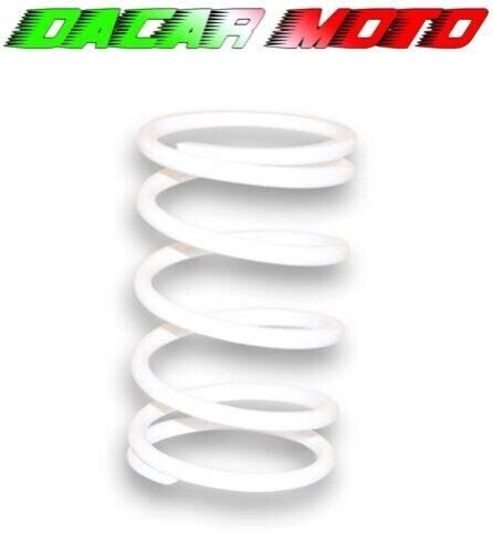 Sprung Kontrast Variator MALOSSI Derbi Atlantis 50 2T LC 297047 EBay