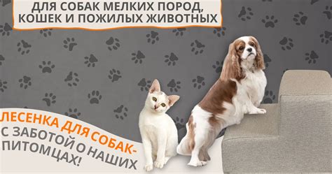 Лестница для собак OMI, лесенка прикроватная, ступеньки для собак ...