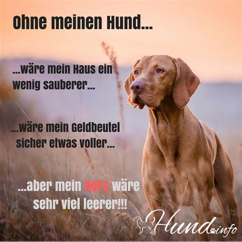 Ohne Meinen Hund W Re Hunde Hundespr Che Hunde Hunde Gedichte