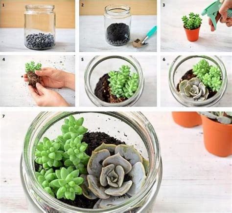 How To Make A Succulent Garden In A Jar With Flowers And Plants Inside