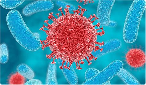Certain Bacterial Species May Increase Hiv Risk In Women Finds New