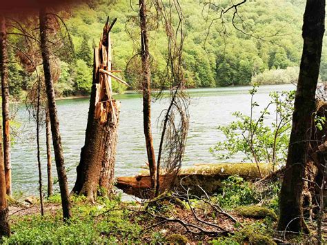 Nacionalni Park Biogradska Gora Danas Je Bio Zatvoren Za Posjete Zbog