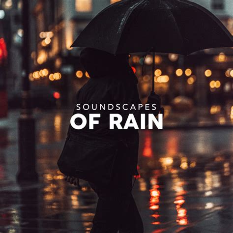 Illusive Rain Song And Lyrics By Rain Makers Spotify