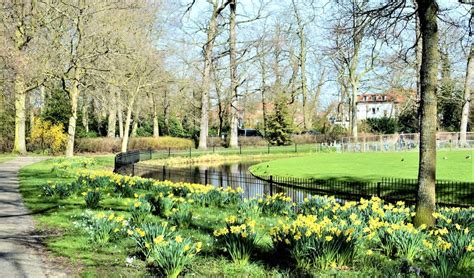 Narcissenroute Door Park Vreugd En Rust Adverteren Leidschendam En