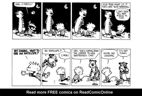 Read Online Calvin And Hobbes Comic Issue