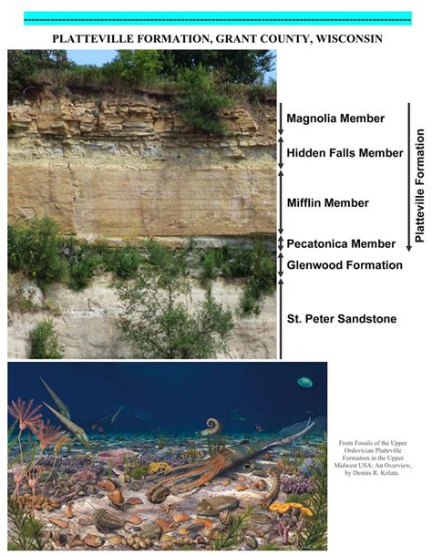 The Ordovician — Lask Fossil Collection