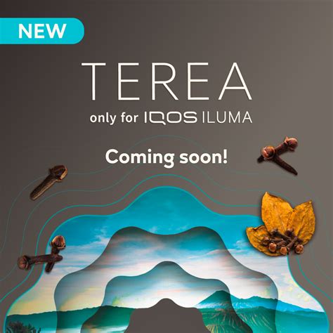 TEREA Edition Authentic Indonesia Clove Flavor IQOS Indonesia