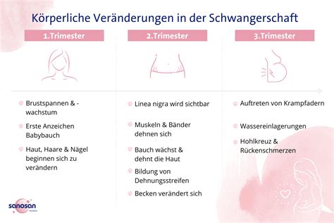 Körperliche Veränderungen in der Schwangerschaft sanosan