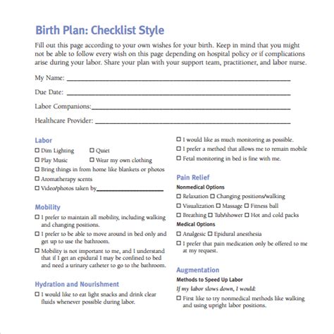 FREE 23 Sample Birth Plan Templates In PDF MS Word Apple Pages