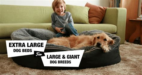 10 Extra Large Dog Beds For Xlxxl Dog Breeds Reviewed