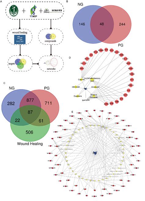 Figure From Analysis Of Common And Characteristic Actions Of Panax