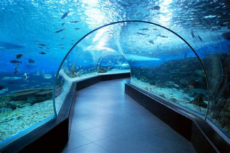 Manila Ocean Park Alowisata