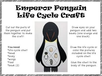 Emperor Penguin Life Cycle Craft by Erin Thomson's Primary Printables