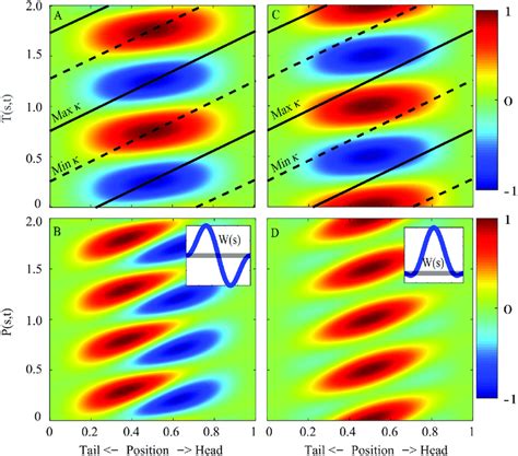 Spatiotemporal Distributions Of The Torque T And Power P Along The