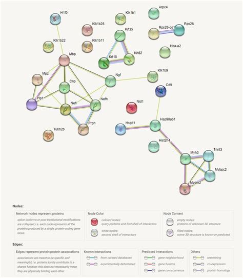 Schematic Representation Of Protein Interaction Networks Calculated For Download Scientific