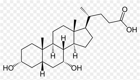 Chenodeoxycholic Acid - Cholic Acid, HD Png Download - 3700x1959 ...