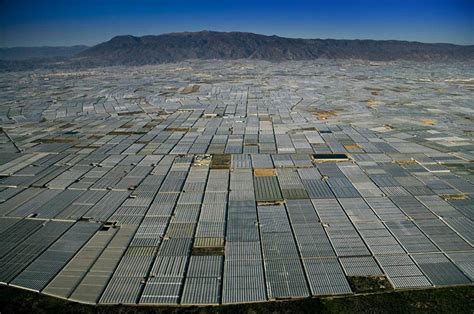 Almeria es la zona del mundo con más invernaderos bajo control