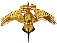 Marine Special Operator Insignia - Wikipedia