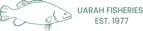 Uarah Fisheries The First Murray Cod Farm