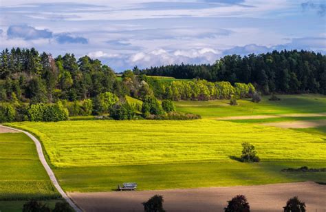 La Importancia De Conservar Los Ecosistemas Blog