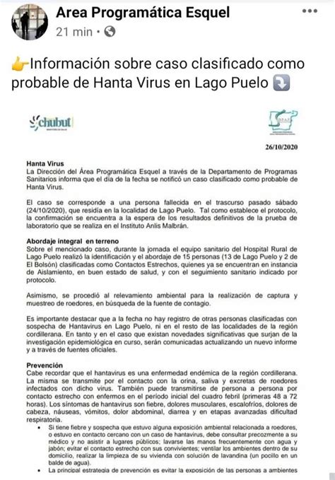 Una Mujer Muere Por Hantavirus En Argentina E Investigan Si La Cepa