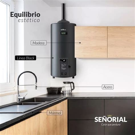 Termotanque Multigas Señorial Black 30 Lts Cañoplast