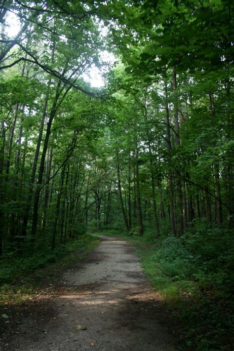 Hike To This Epic Overlook In Indiana For The Ultimate Birds Eye View