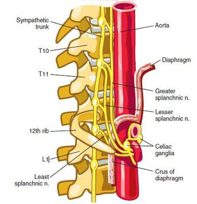 Fluoroscopic Guided Celiac Plexus Splanchnic Nerve Block Technique