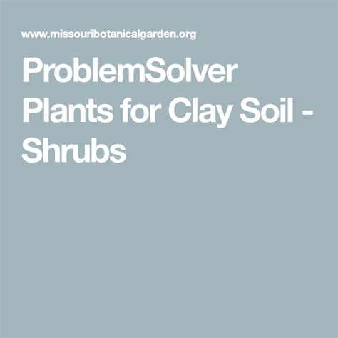 ProblemSolver Plants For Clay Soil Shrubs Clay Soil Shrubs Plants