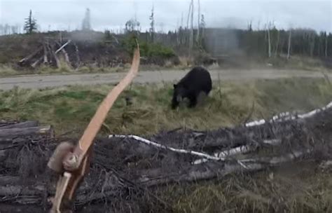 YouTube Cazador Graba Aterrador Momento En Que Es Atacado Por Un Oso