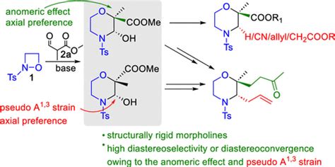 Syntheses Of 2 And 3 Substituted Morpholine Congeners Via Ring Opening Of 2 Tosyl 1 2