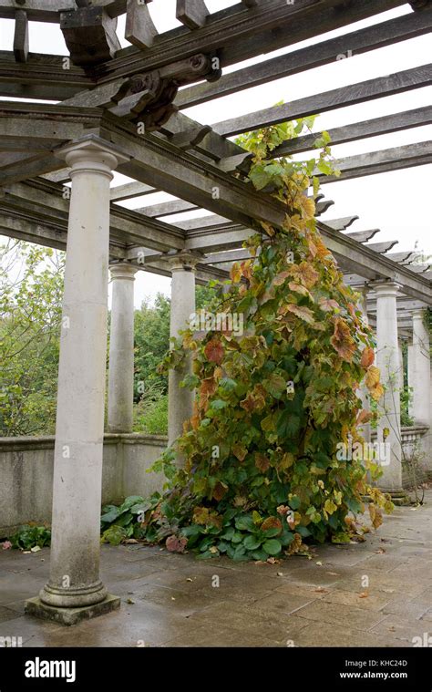 The Hampstead Pergola And Hill Gardens In London Stock Photo Alamy