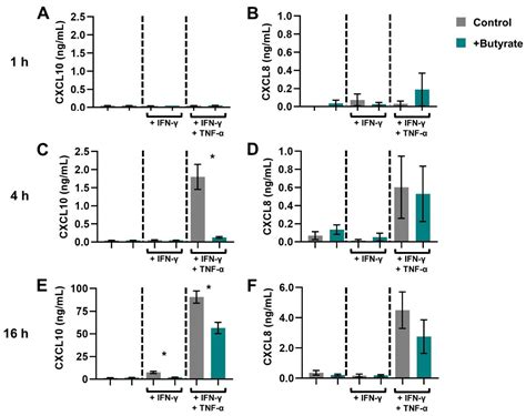 Ijms Free Full Text Butyrate Prevents Induction Of Cxcl10 And Non