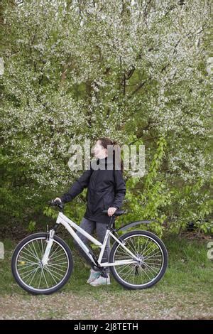 Blossoming Fruit Tree Stock Photo Alamy