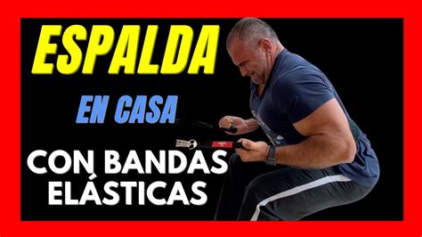 JALONES AL PECHO con agarre supino y bandas elásticas YouTube