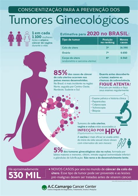 Tumores Ginecol Gicos Um Infogr Fico Que Conscientiza Para A Preven O