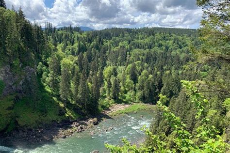 Seattle Wasserf Lle Wandertour Im Wald Getyourguide