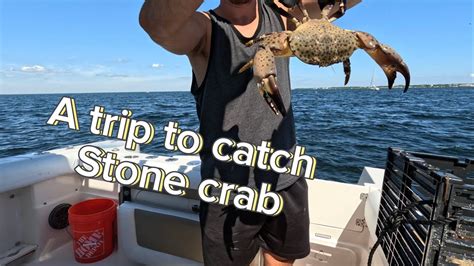 A Trip To Key Largo To Catch Stone Crab 🦀 Youtube