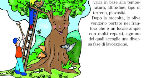 VIVACEMENTE Il Giornalino Del Cuore E Della Mente Ciclo Produttivo