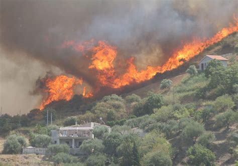 E Emergenza Incendi In Sicilia Ieri Undici Roghi E Temperature Record