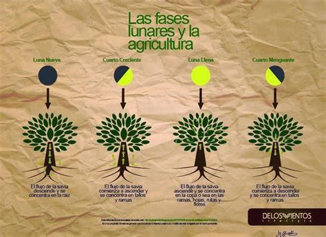 Espejismo De Luna Llena Fase De La Luna En La Agricultura